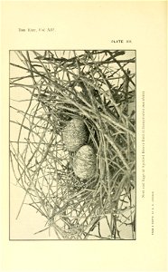 n133_w1150