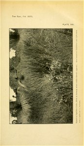 n262_w1150
