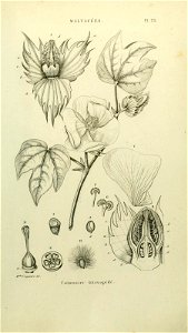 n122_w1150