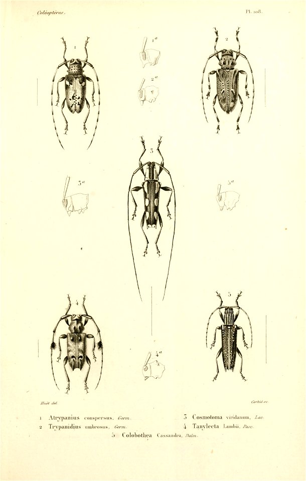 n268_w1150
