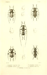 n268_w1150