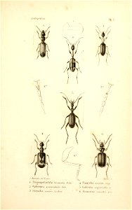 n58_w1150