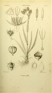 n302_w1150