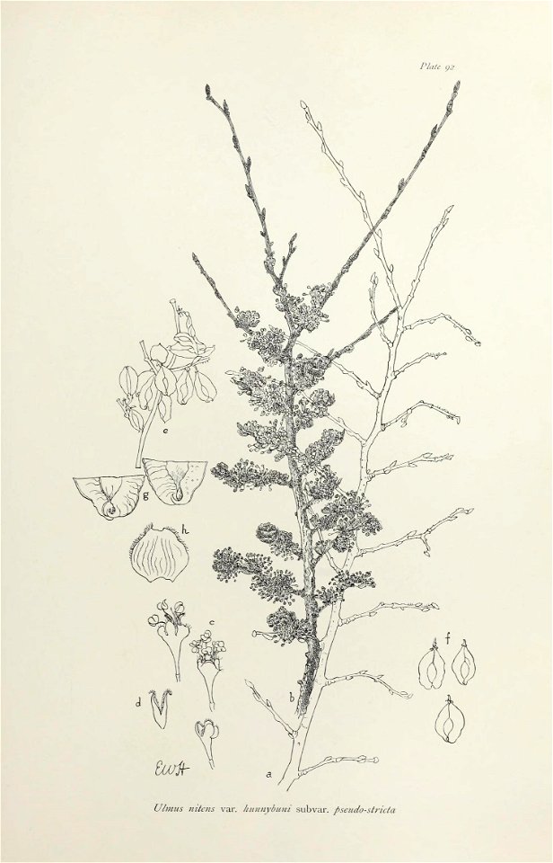 n194_w1150