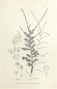 n194_w1150
