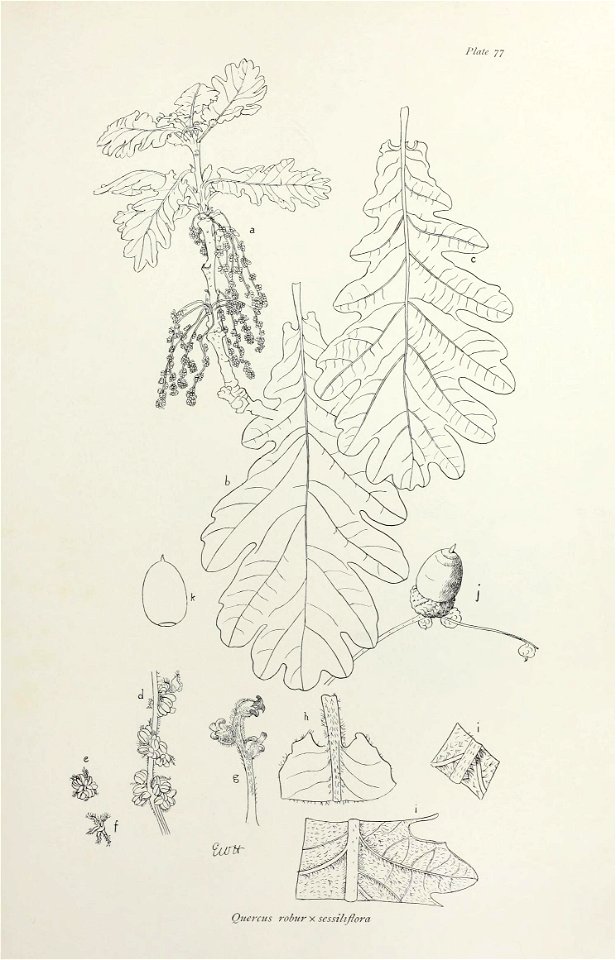 n164_w1150