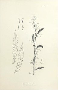 n134_w1150