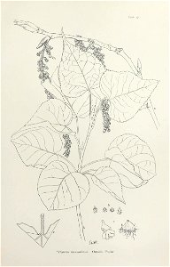 n44_w1150