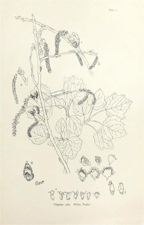 n14_w1150