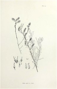 n104_w1150