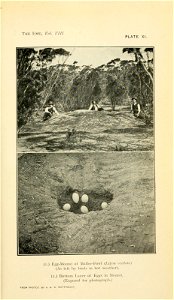 n160_w1150