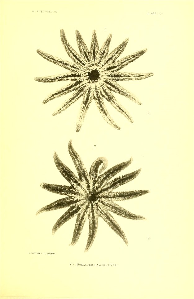 n368_w1150