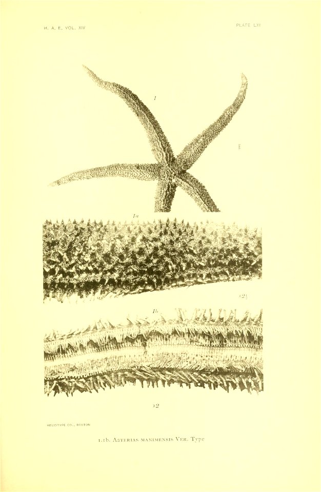 n248_w1150