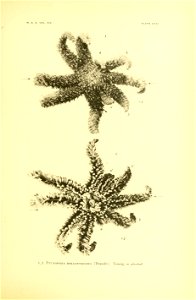 n128_w1150