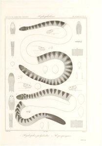 n110_w1150