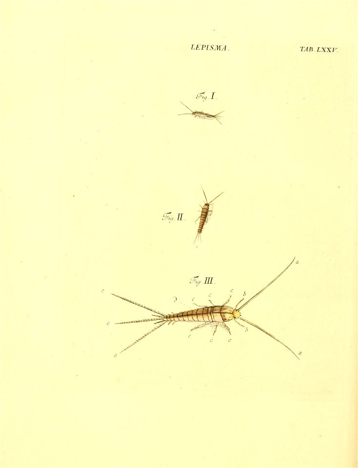 n187_w1150