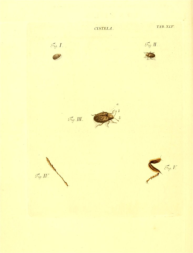 n127_w1150