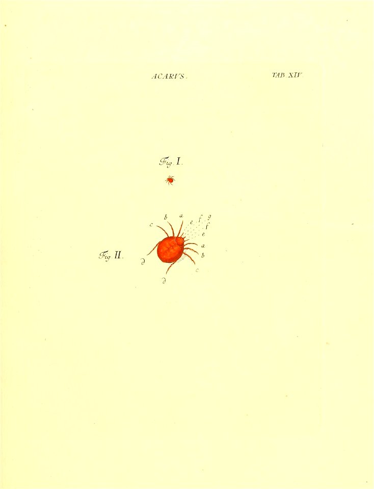n66_w1150