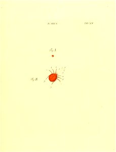 n66_w1150