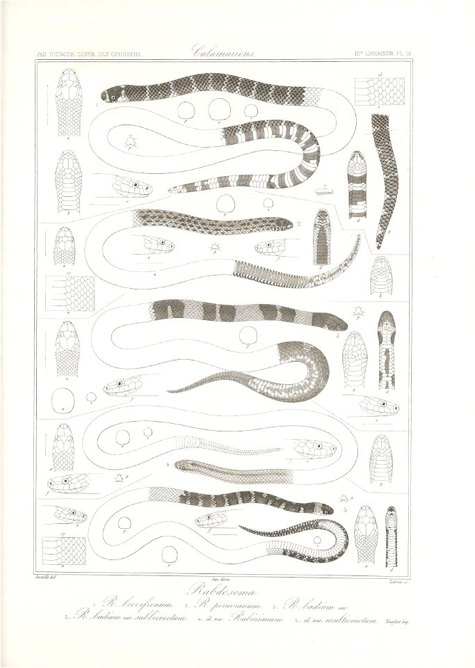 n170_w1150