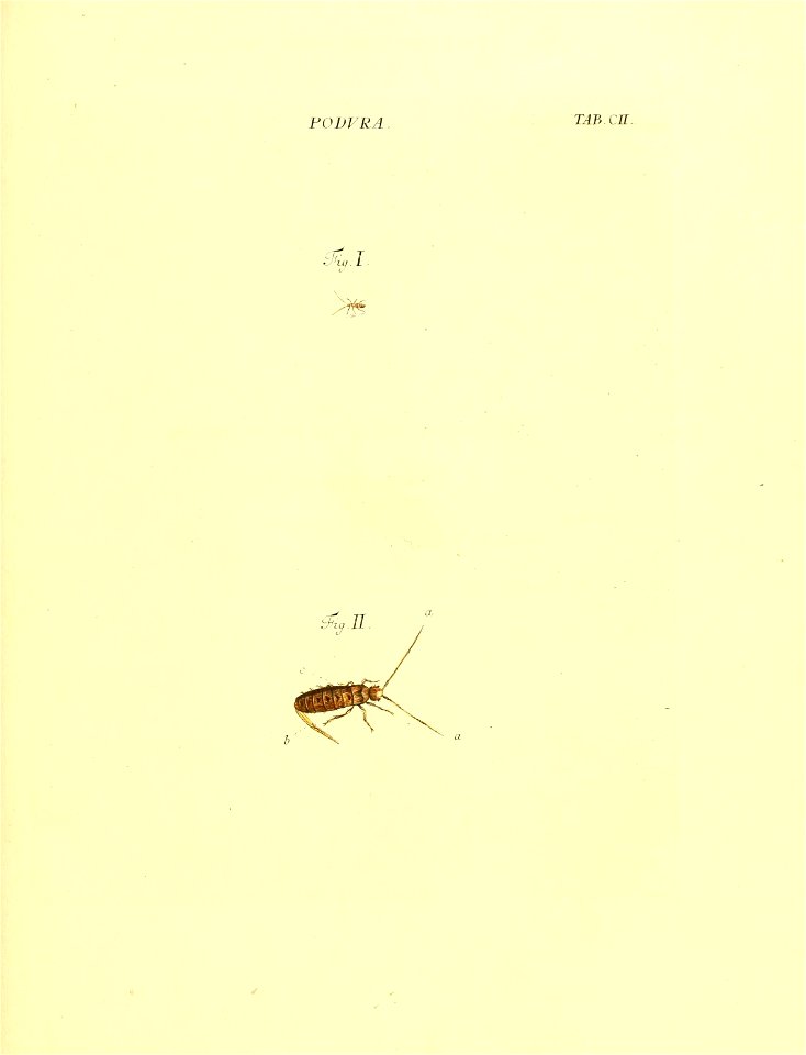 n242_w1150