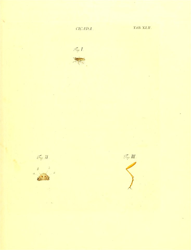 n122_w1150