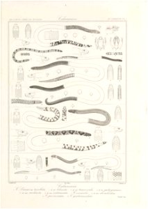 n164_w1150