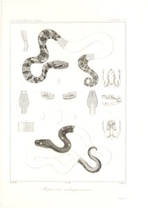 n122_w1150