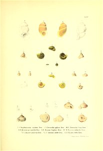 n216_w1150