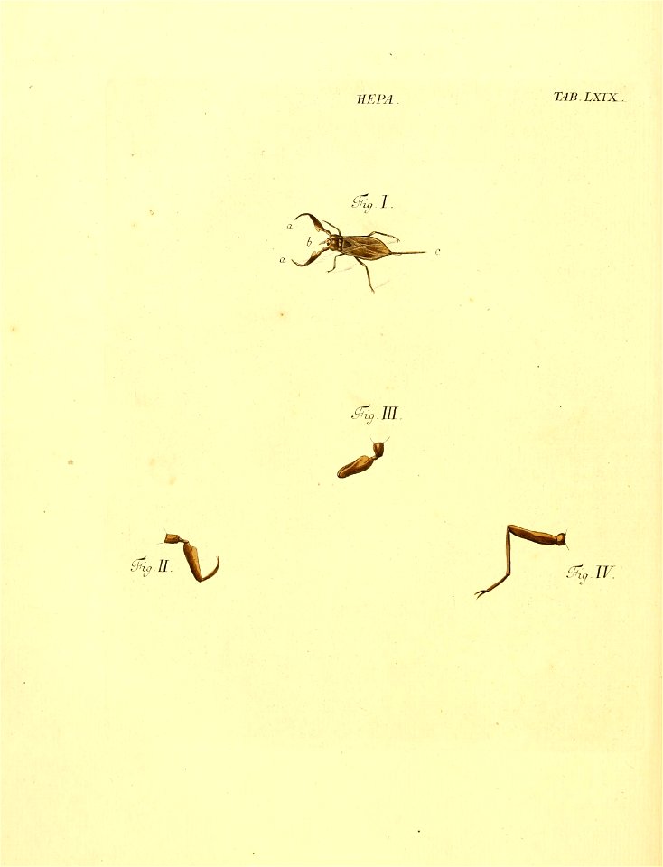 n175_w1150