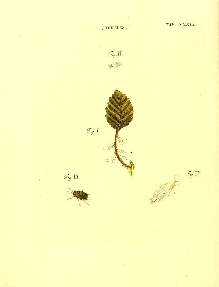 n115_w1150