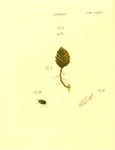 n115_w1150