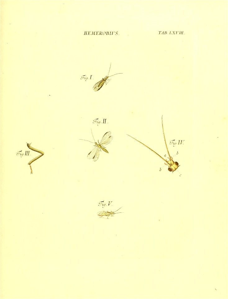 n174_w1150