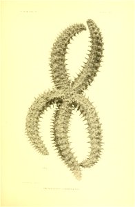n272_w1150