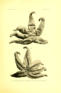 n152_w1150