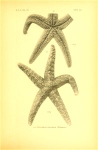 n92_w1150