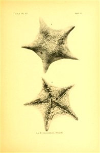n32_w1150