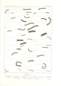 n58_w1150