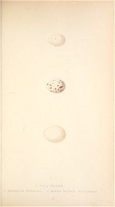 n232_w1150