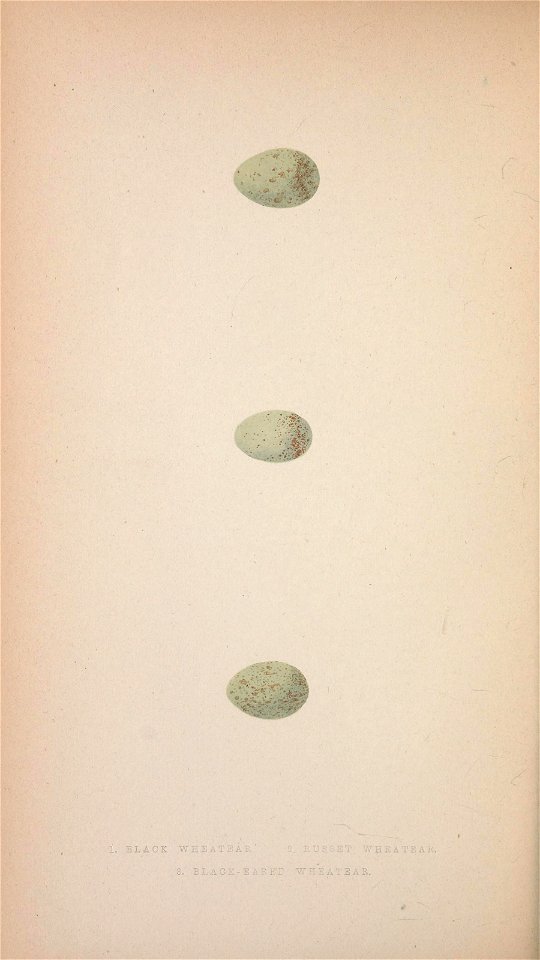 n205_w1150