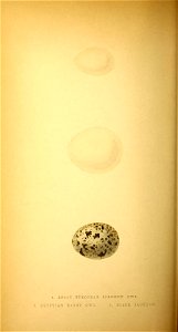 n207_w1150