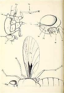 n795_w1150