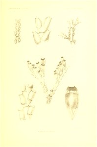 n278_w1150