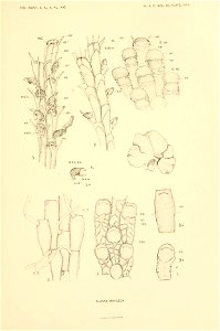 n312_w1150