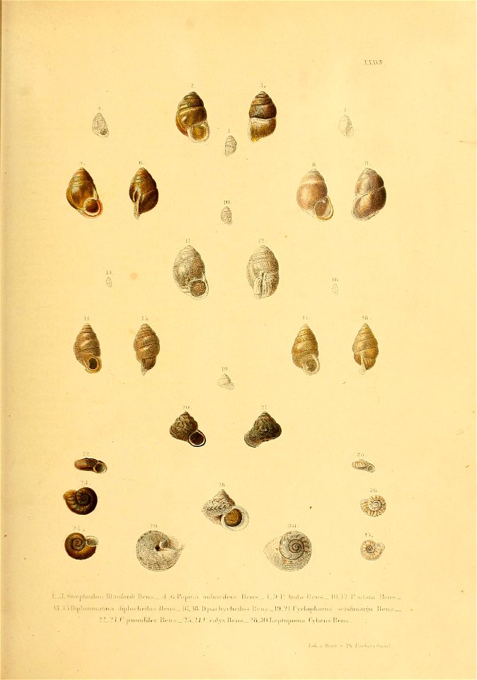 n178_w1150