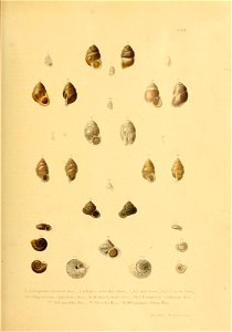 n178_w1150