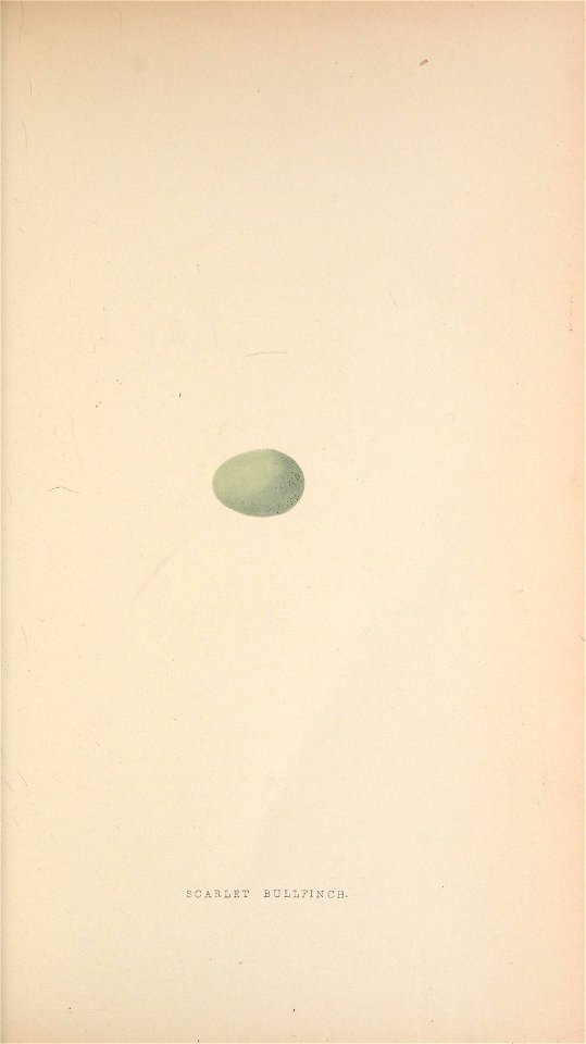 n118_w1150