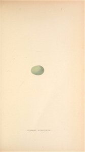 n118_w1150