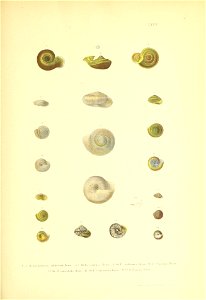 n218_w1150
