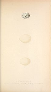 n208_w1150